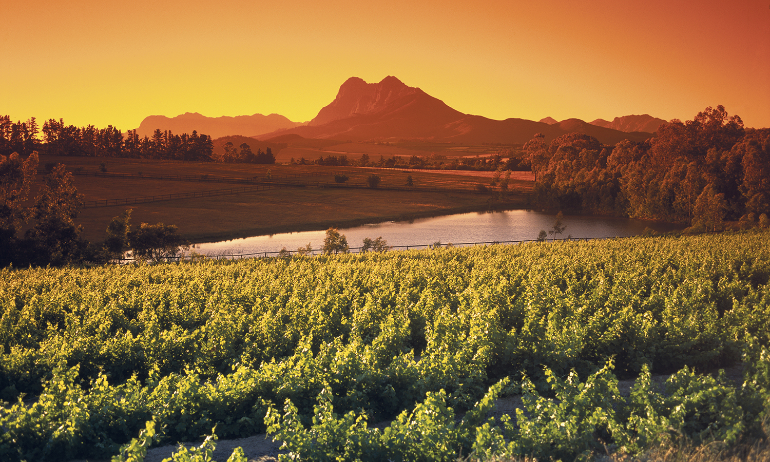 Itinerary Wine Safari Cape Winelands Hideaway Report - 